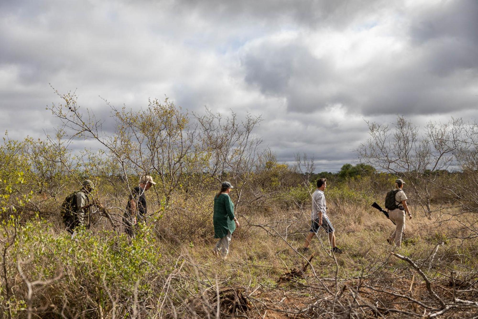 Africa On Foot Villa Klaserie Özel Doğa Koruma Alanı Dış mekan fotoğraf