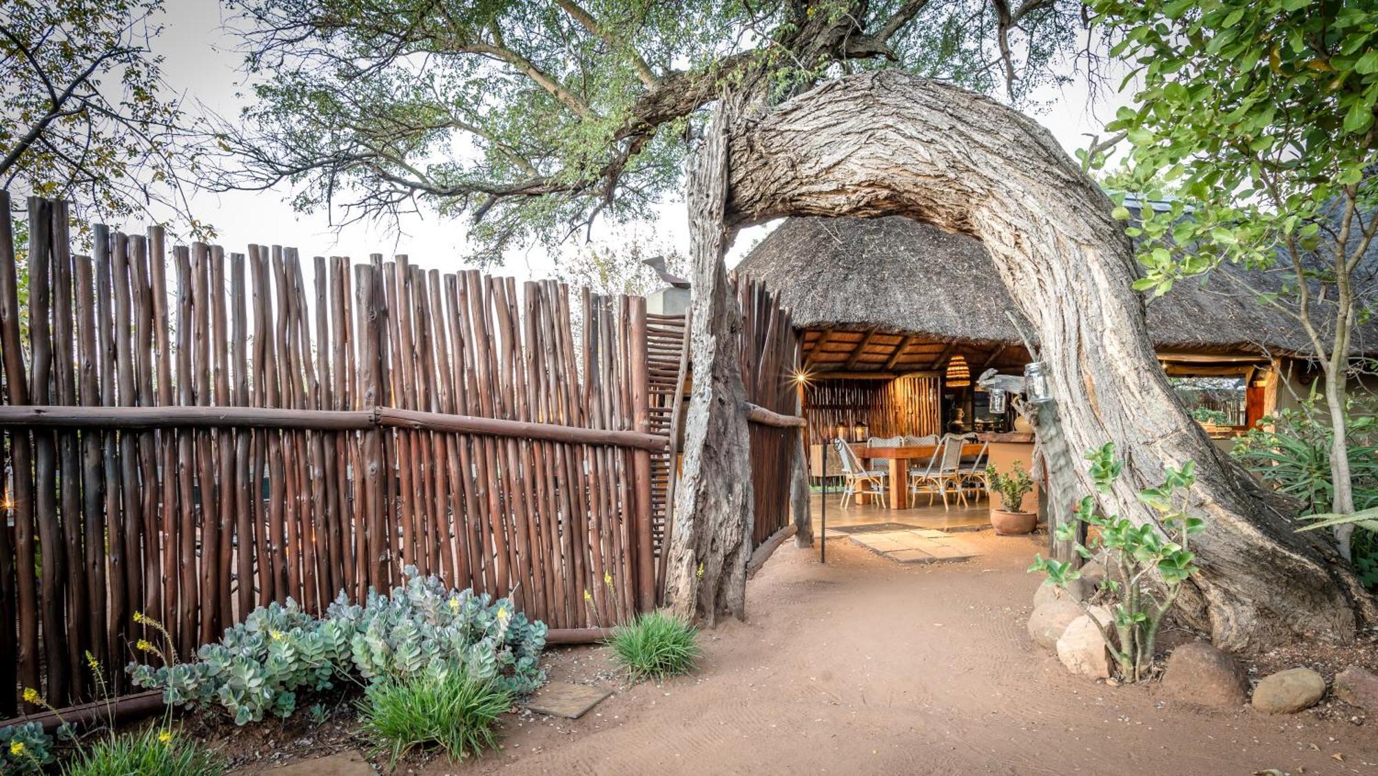 Africa On Foot Villa Klaserie Özel Doğa Koruma Alanı Dış mekan fotoğraf