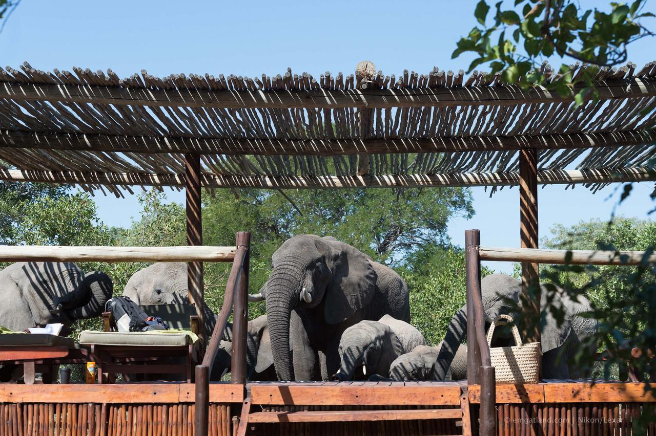 Africa On Foot Villa Klaserie Özel Doğa Koruma Alanı Dış mekan fotoğraf