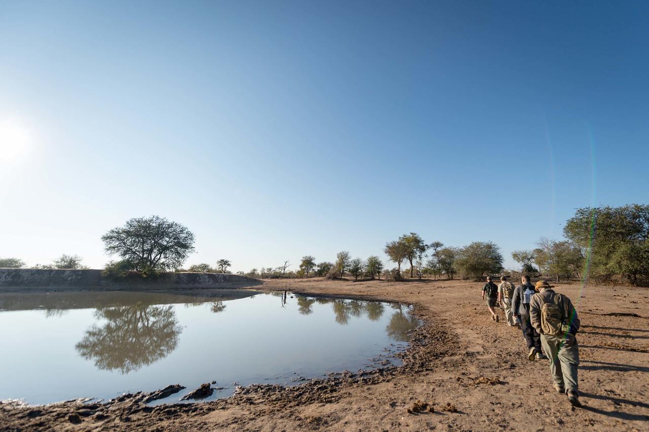 Africa On Foot Villa Klaserie Özel Doğa Koruma Alanı Dış mekan fotoğraf